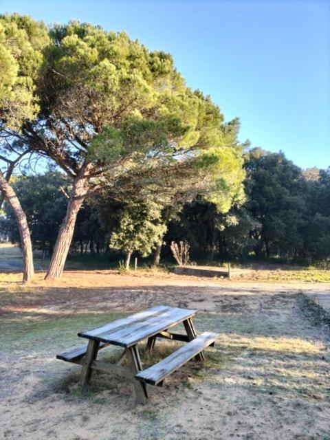 Les Salines Boyardville - Appart'Hotel Saint-Pierre-d'Oleron Bagian luar foto