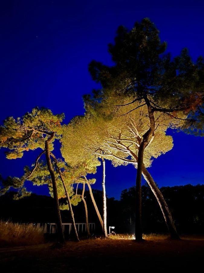 Les Salines Boyardville - Appart'Hotel Saint-Pierre-d'Oleron Bagian luar foto