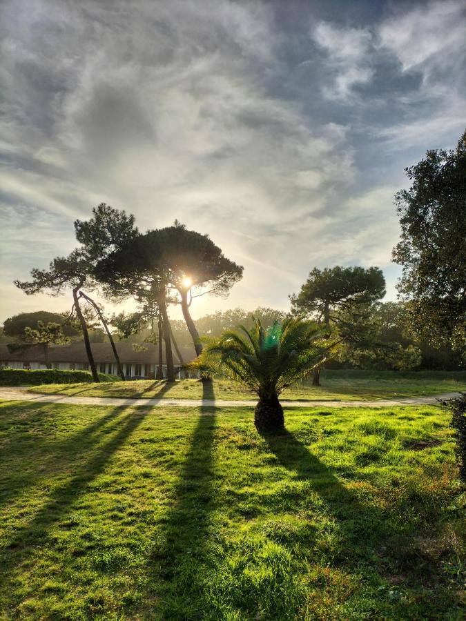 Les Salines Boyardville - Appart'Hotel Saint-Pierre-d'Oleron Bagian luar foto