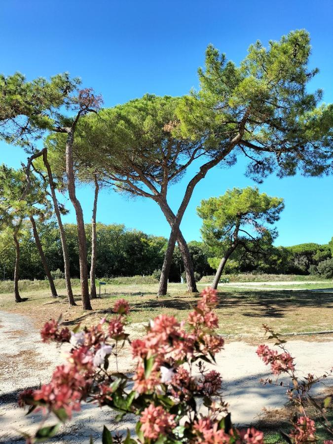 Les Salines Boyardville - Appart'Hotel Saint-Pierre-d'Oleron Bagian luar foto