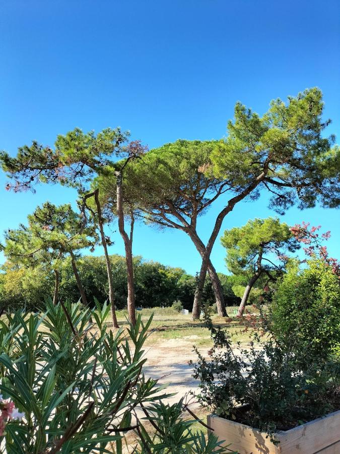 Les Salines Boyardville - Appart'Hotel Saint-Pierre-d'Oleron Bagian luar foto
